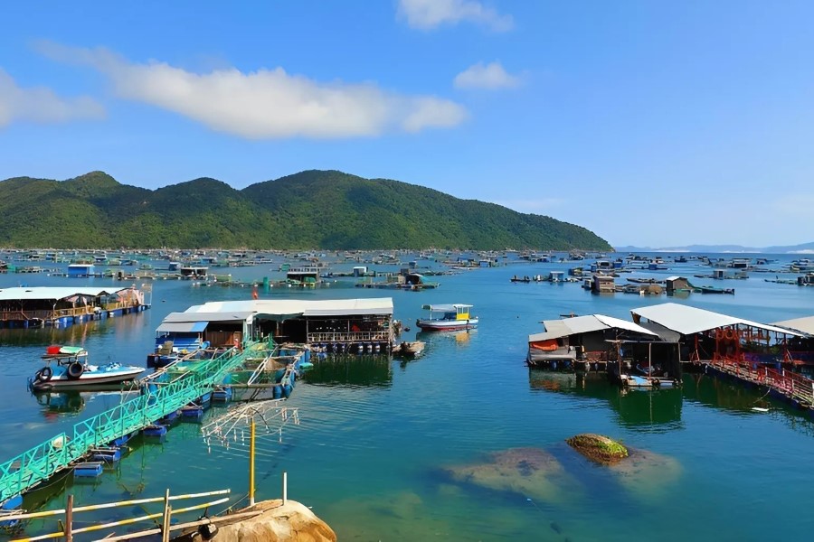 Floating fish farms in Vung Ro Bay (Source: Laca)