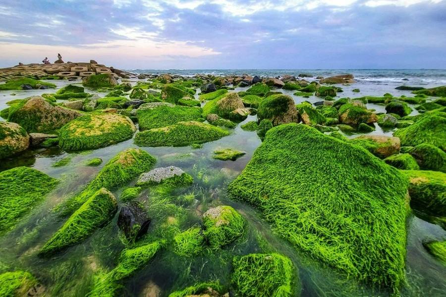 The green moss-covered embankment at Xom Ro (Source: Thanh Nhan)