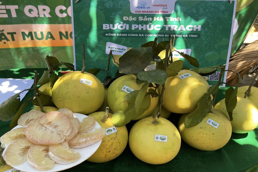 Phuc Trach pomelo is a perfect cooling treat for hot summer days