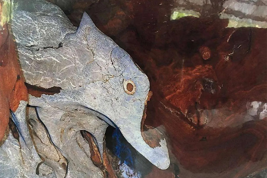 The white elephant-shaped rock, the symbol of the Phung Chang Cave