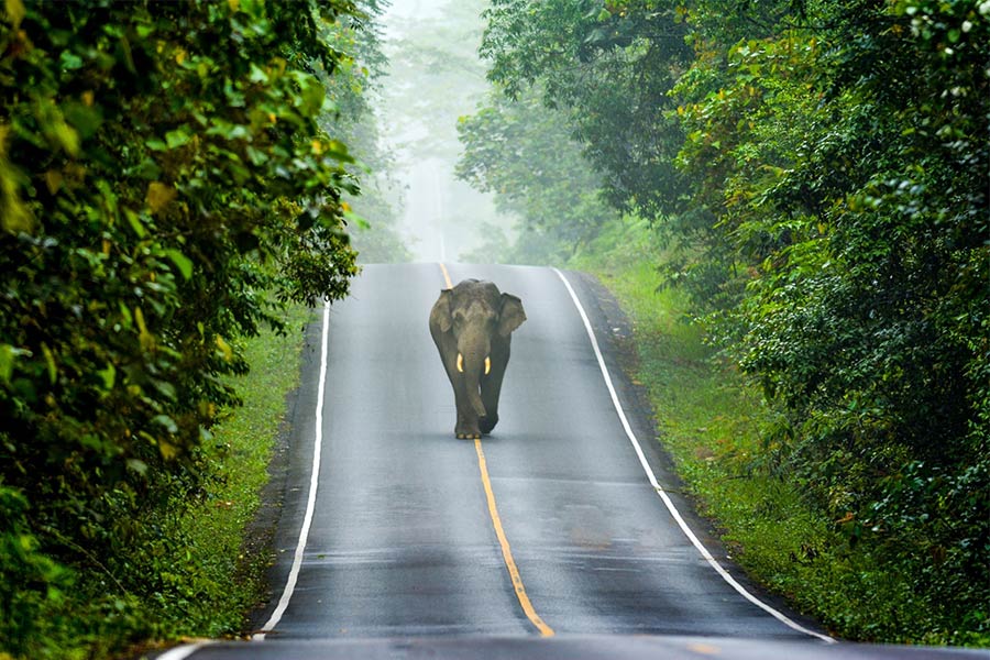 Prachin Buri Travel Guide: Weather