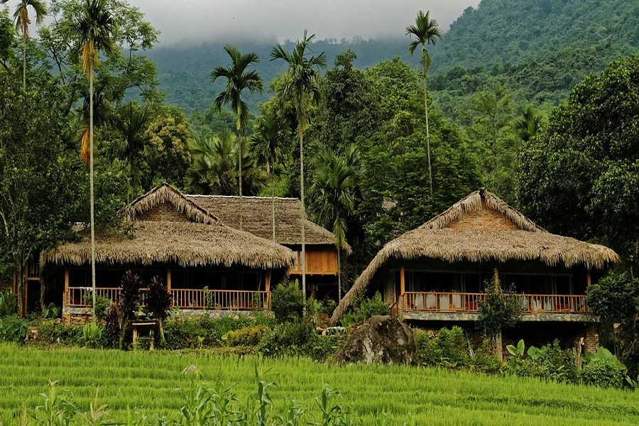 The stilt houses in the tranquil setting of Don village