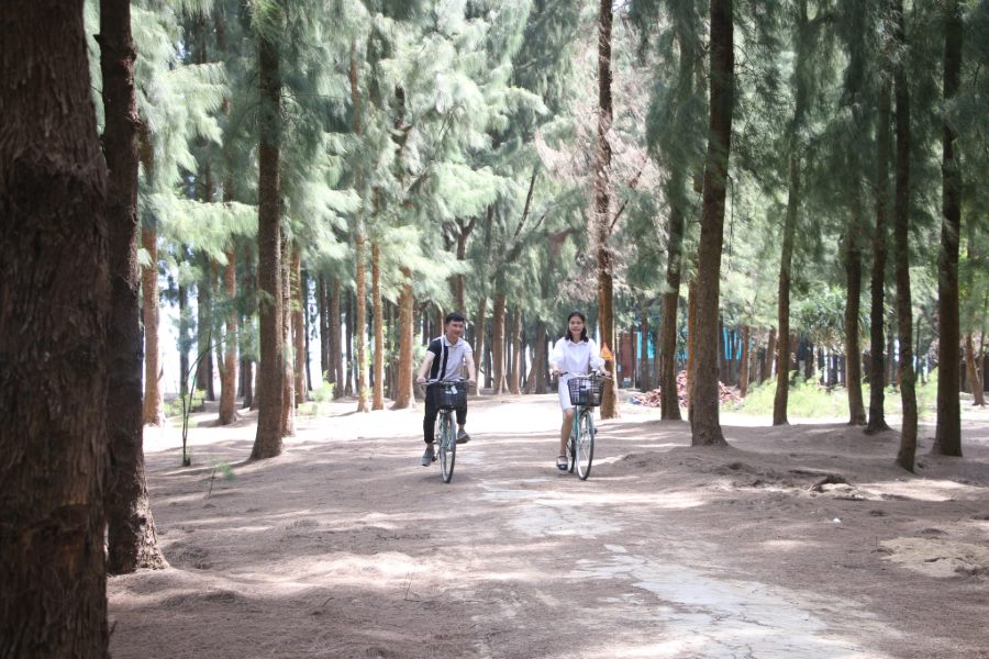 The Love Path on Cai Chien Island (Source: VTC News)