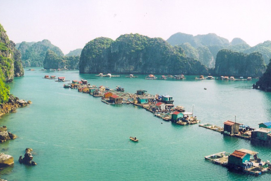 Ha Long Bay - Cua Van Fishing Village