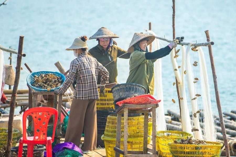 Some must-try seafood includes blue crabs, squid, clams, grouper hotpot, and more.