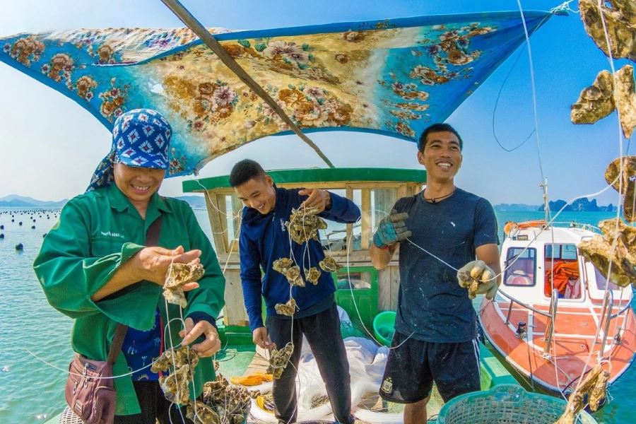 Ngoc Vung Island is home to many fishermen who live and work there 