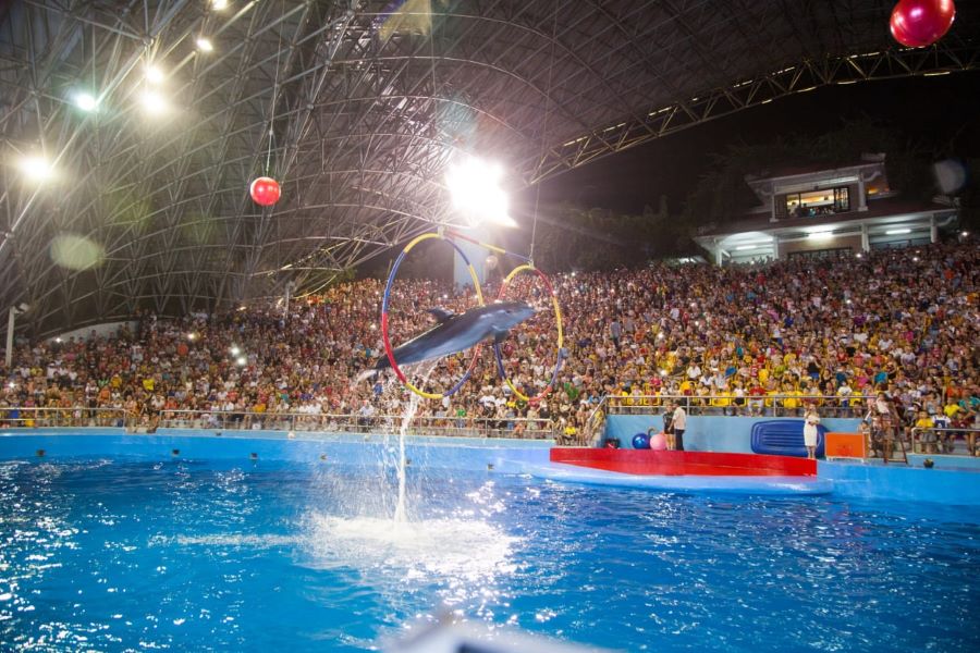 The Water Show stage is filled with guests watching the performance