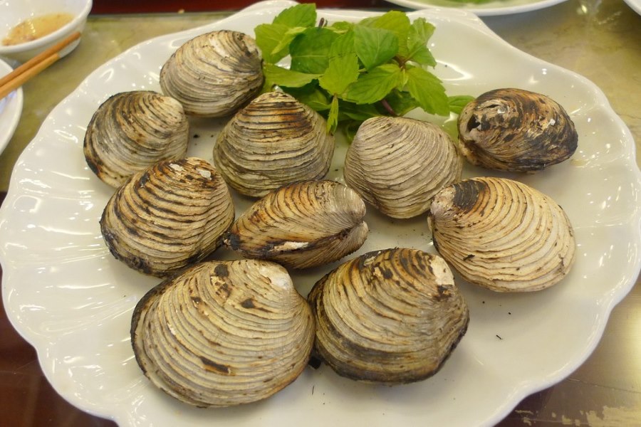 Saltwater Clams -  a must-try signature dish in Tuan Chau