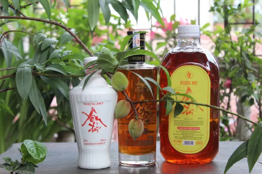 Enjoying plum wine with dried squid or other light dishes for a perfect pairing