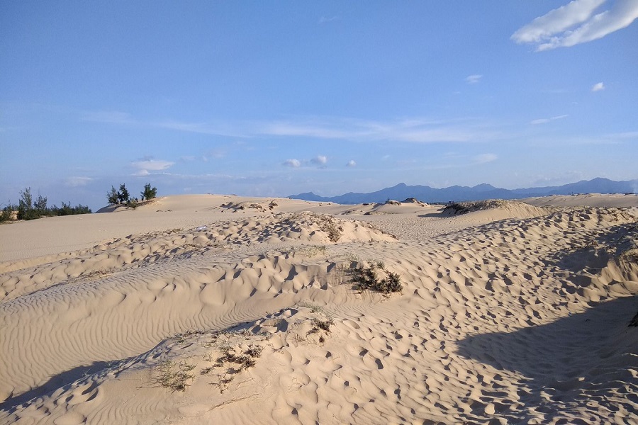 Quang Phu Sand Dunes in Quang Binh 