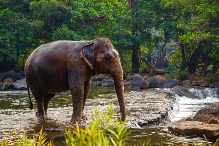  Tad Lo Waterfalls are a series of waterfalls located in Salavan province