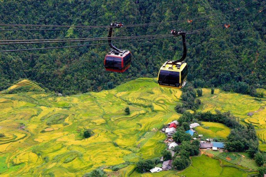 Fansipan Cable Car during the rice harvest season