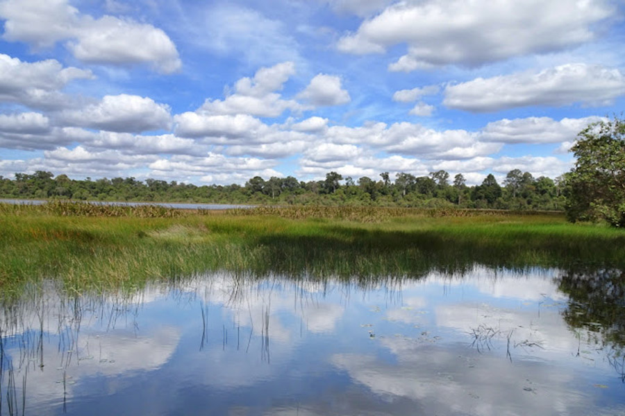 Traveling cost of Dong Natad National Protected Area