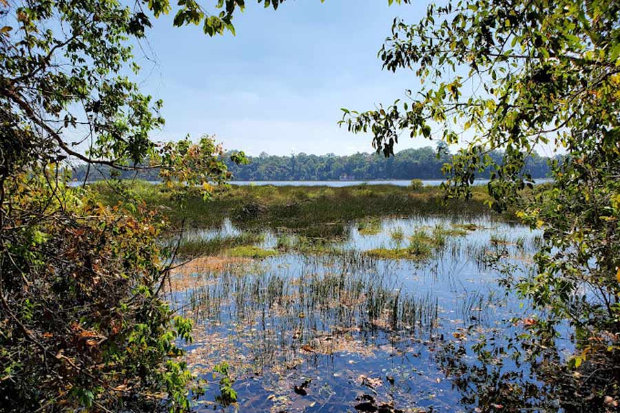 History of Dong Natad National Protected Area