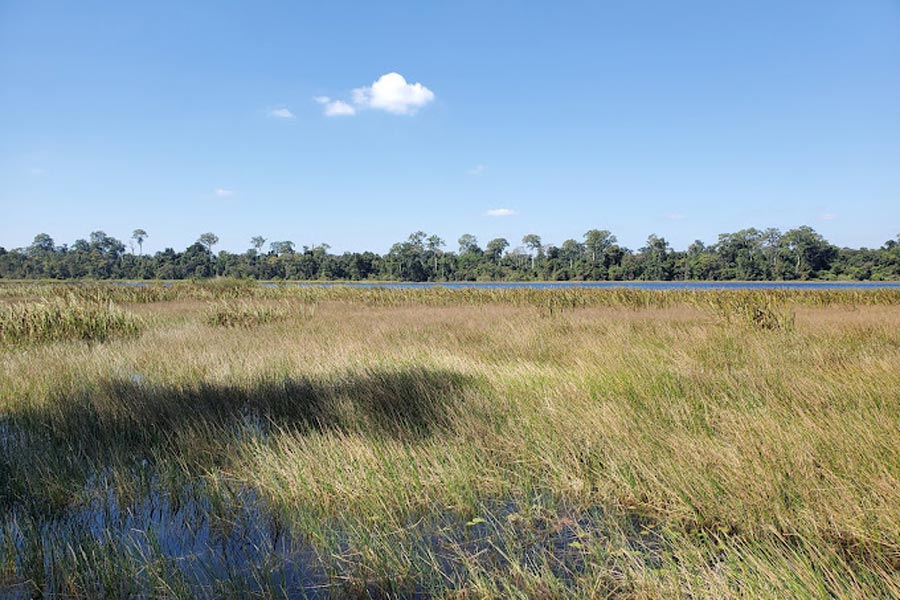 Best time to visit Dong Natad National Protected Area