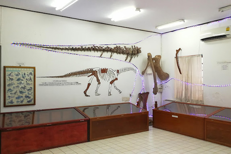 History of Savannakhet Dinosaur Museum