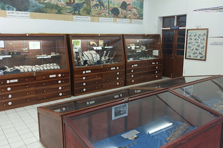 Savannakhet Dinosaur Museum