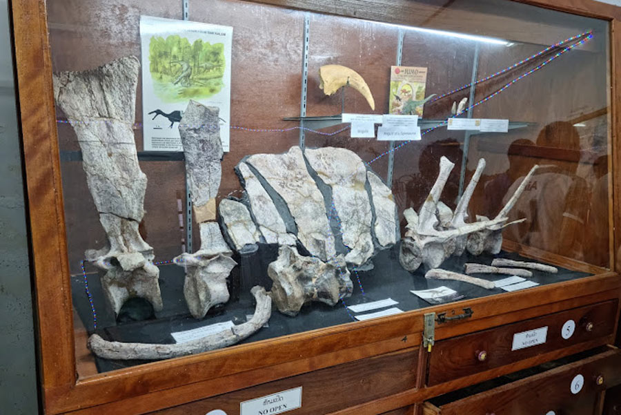 Explore Savannakhet Dinosaur Museum with Asia King Travel