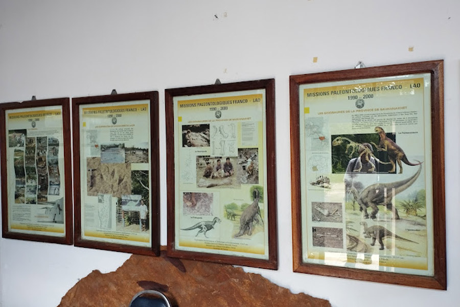 Best Time to Visit Savannakhet Dinosaur Museum