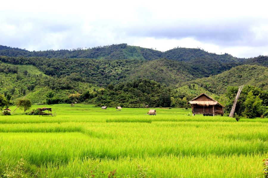 Sayaboury is a destination of interest to many tourists 