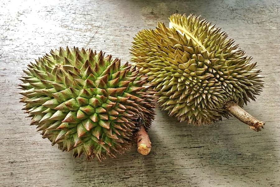 Kampung durians bring a delightful element of surprise with every bite