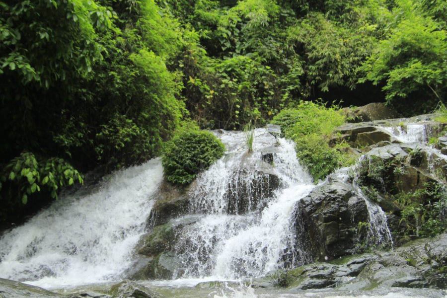 Forest trails in Sky Pond - Fairy Stream are mostly left untouched. (Photo: Dealtoday)