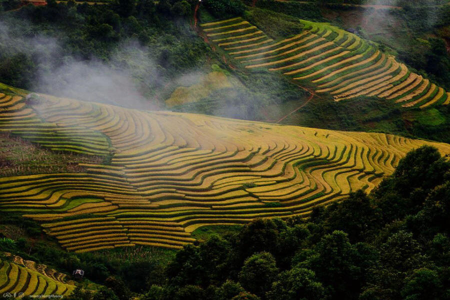 In your journey to explore these Xim Vang terraced fields 