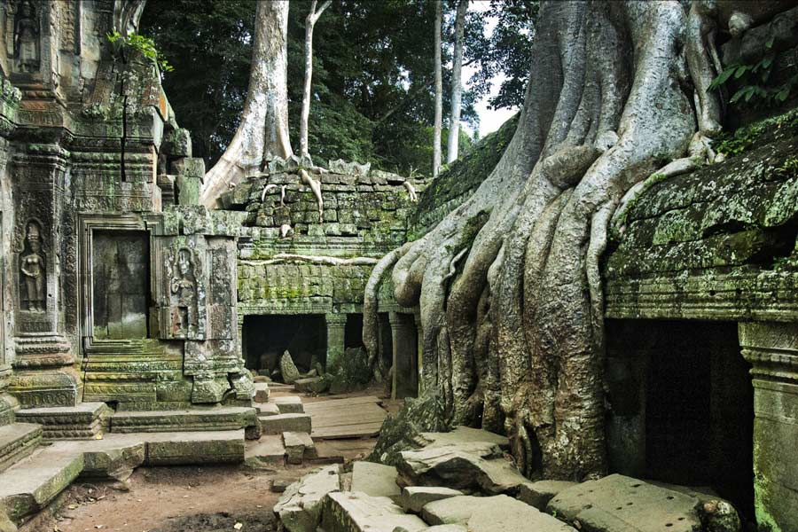 What to do to truly enjoy a 5-day tour in Cambodia ?