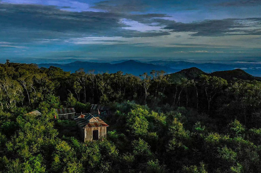 Best Time to Visit Cardamom