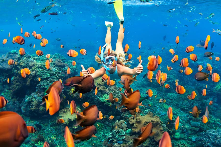  Snorkeling in Koh Phi Phi is a popular and rewarding activity, offering the opportunity to explore vibrant coral reefs and diverse marine life in the clear turquoise waters surrounding the islands