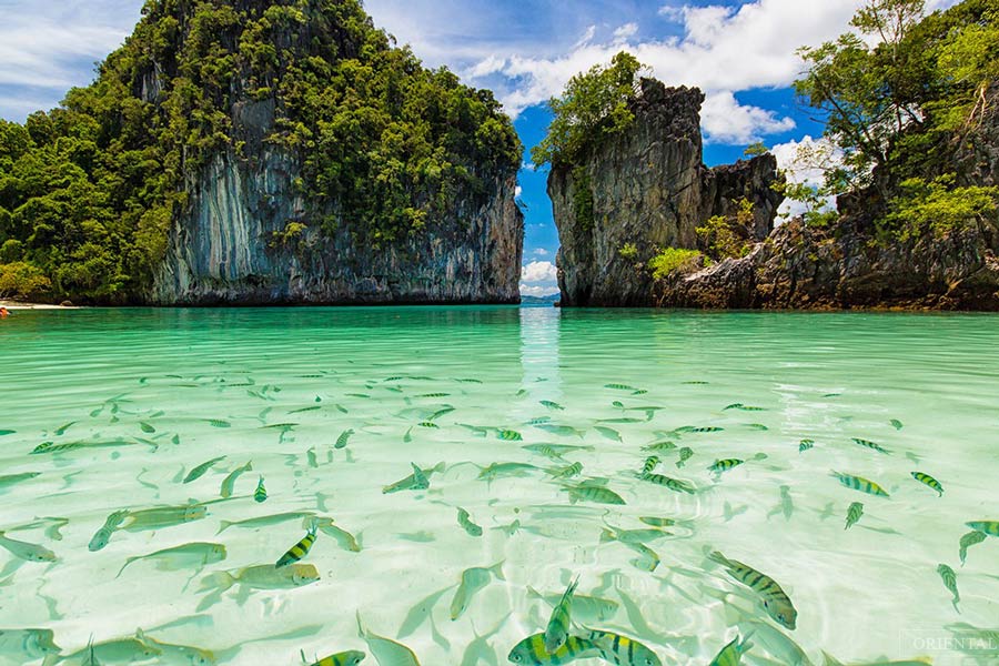 Koh Hong, situated within Phang Nga Bay in southern Thailand, is a picturesque island renowned for its stunning natural features and tranquil ambiance