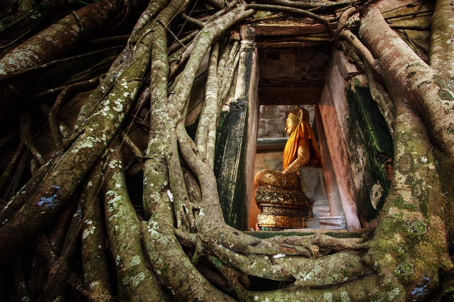 Samut Songkhram - Wat Bang Kung