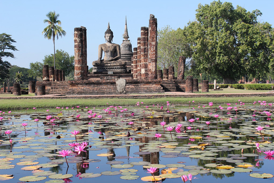 Picturesque and peaceful lotus pond in Wat Mahathat, Sukhothai