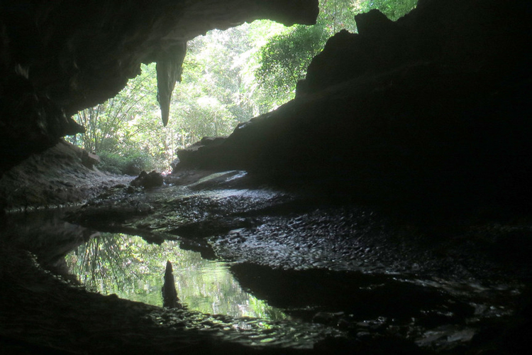 The cave is not just a physical passage; it's a visual and sensory odyssey