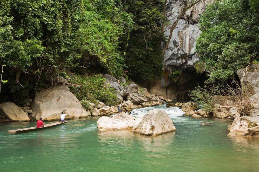 The cave is surrounded by a dense tropical forest