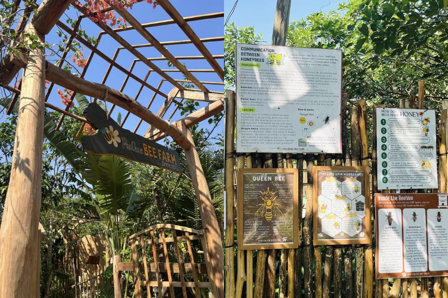 A green and educational place to unwind and learn more about the fascinating life of honey bees