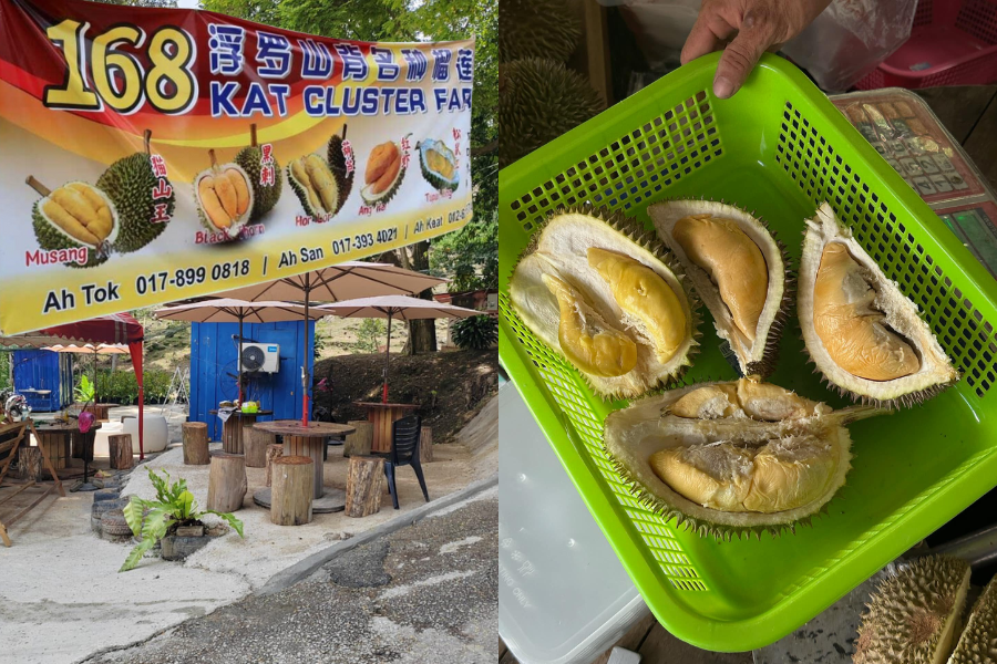 168 KAT Cluster Farm serves up a durian buffet for two hours