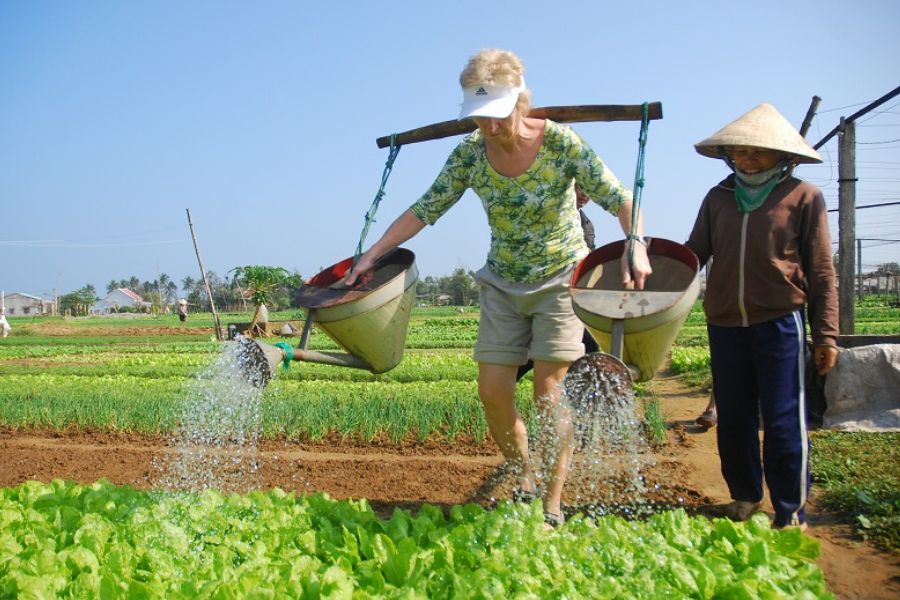 Watering vegetables - an exciting activity in local farming