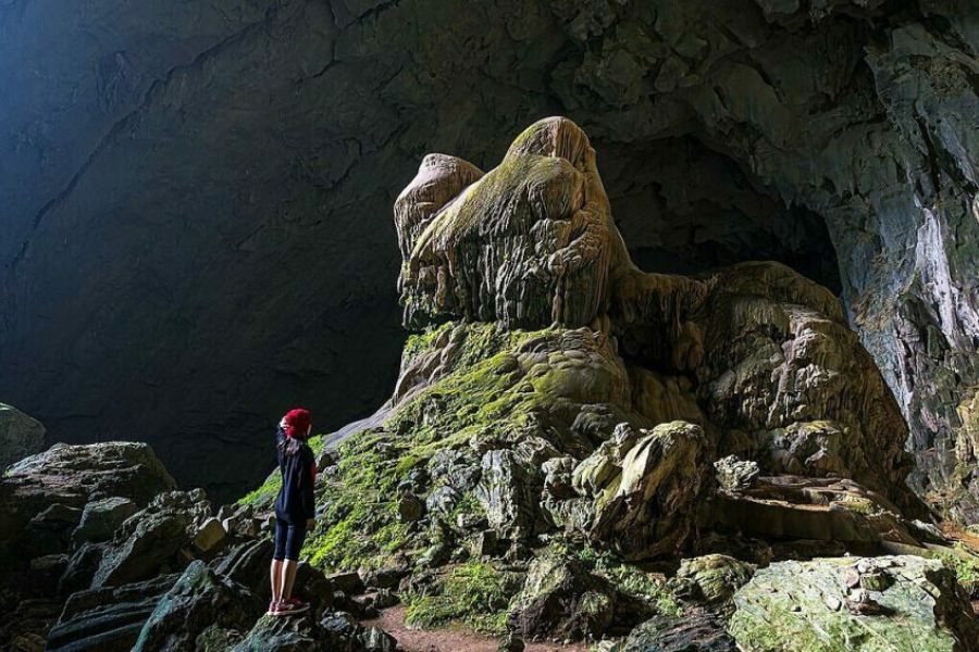 Bat cave in Pu Luong