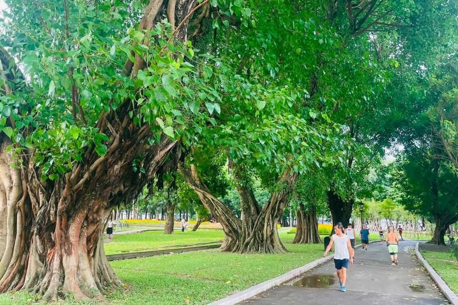 Thong Nhat Park with large banyan trees where Hanoi Autumn Festival 2026 will be hold