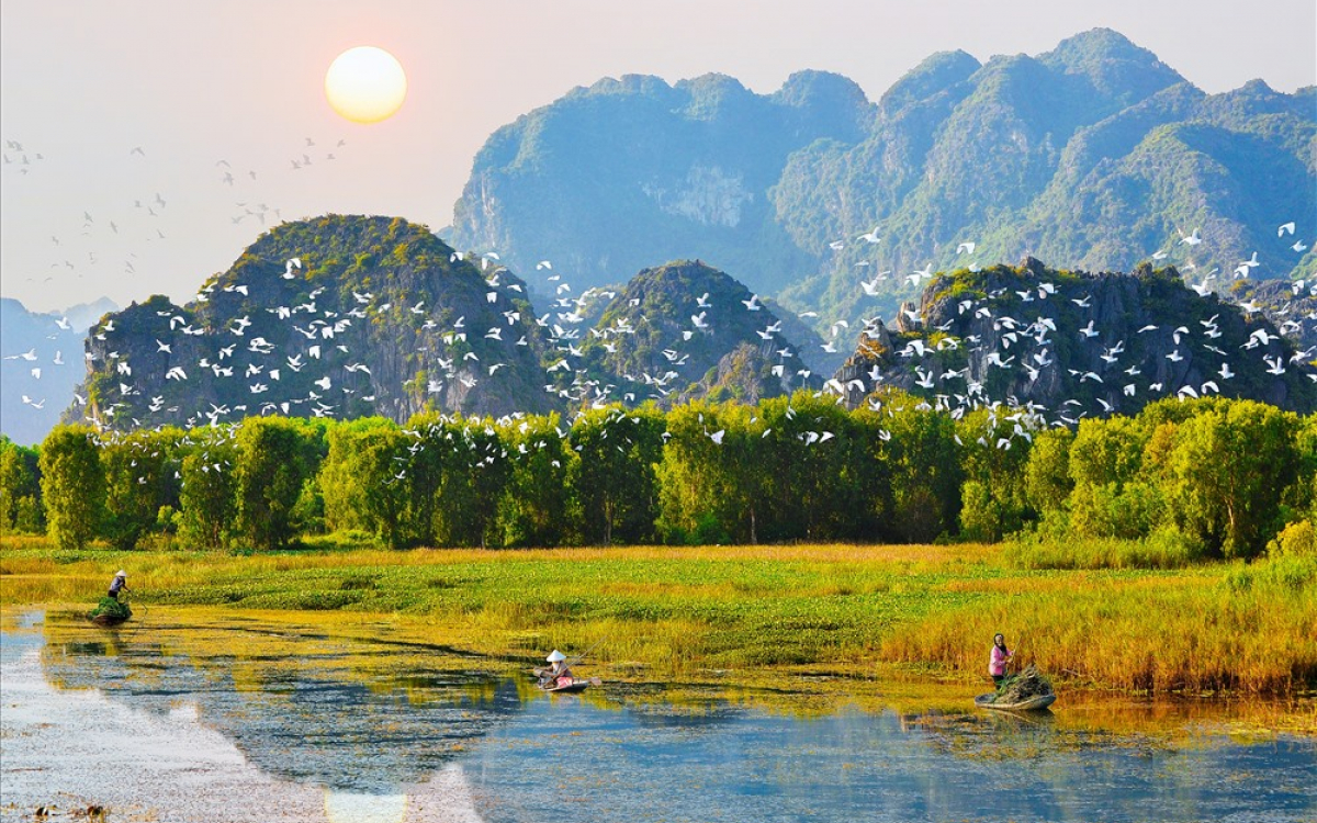The unforgettable natural scenery at Thung Nham Bird Garden