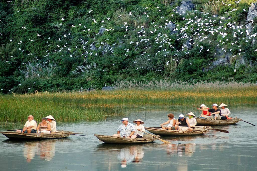 Boat Tour