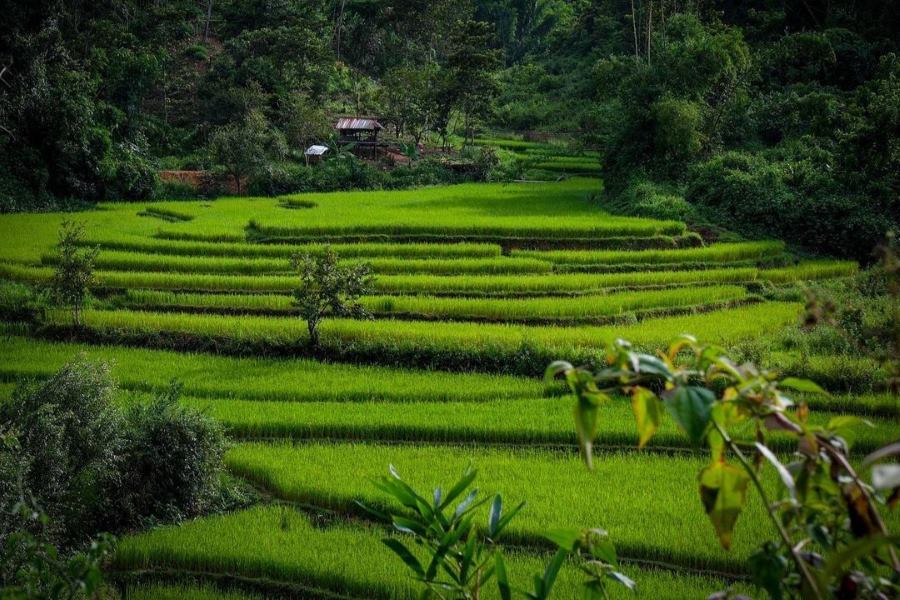 Vieng Xai is a small town located in the Hua Phan province, in central Laos.