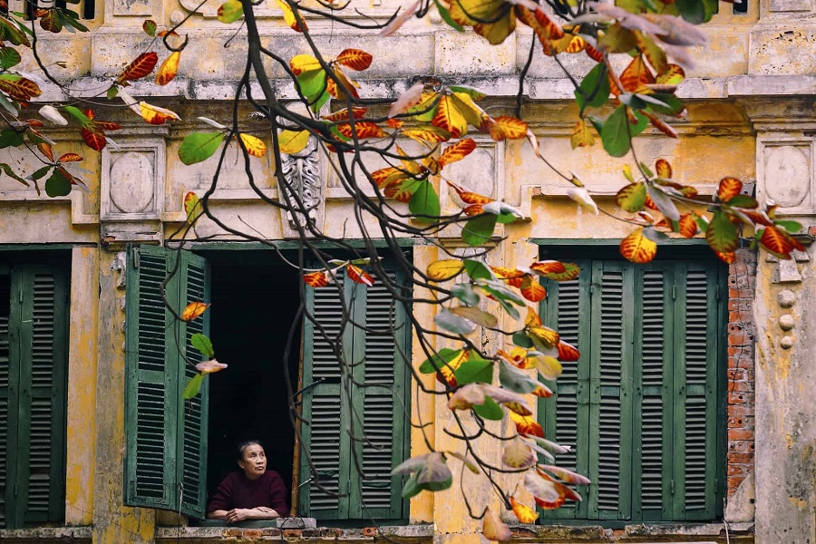 When it comes to choosing the best time to experience Hanoi, autumn is the season that wins people’s hearts