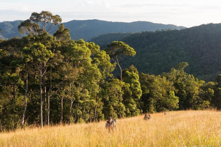 Virachey National Park is a protected area in northeastern Cambodia