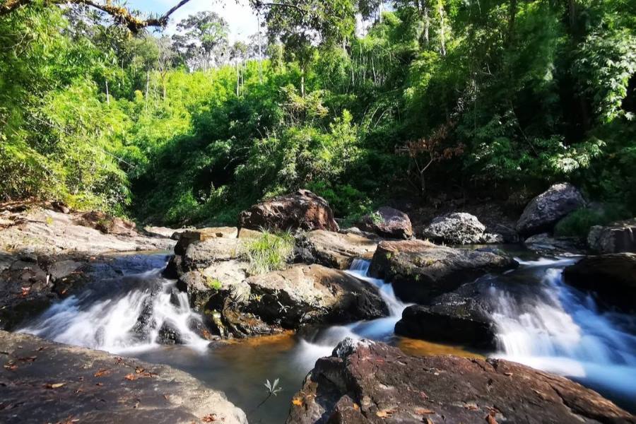 The best time to visit Virachey National Park 