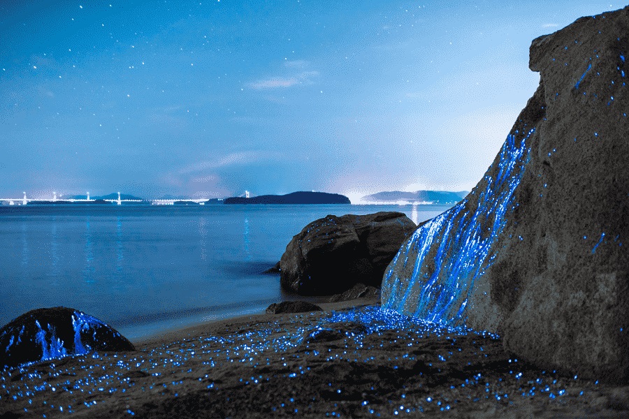 Noctourism is a fusion of nocturnal and tourism