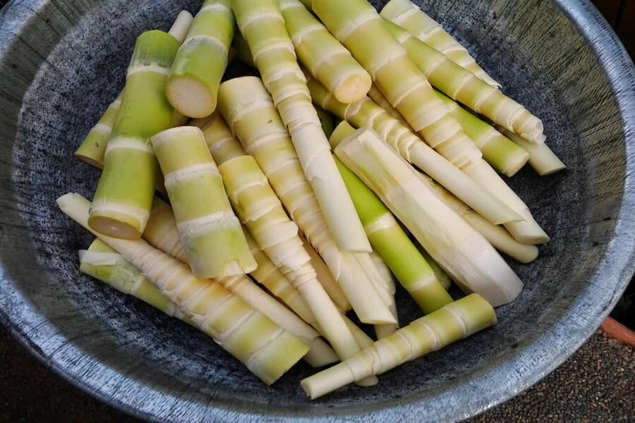 Bamboo shoots are initially bitter, but the aftertaste is truly irresistible. Photo: Dan Viet