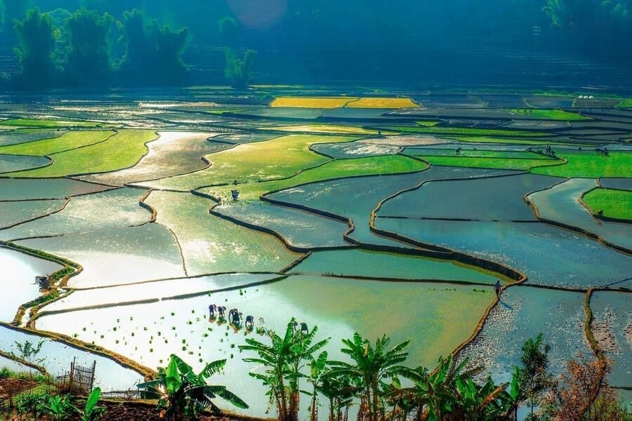 Flooding terraced fields in April-May makes them like giant mirrors, another time consider visiting. Photo: Le Hong Ha