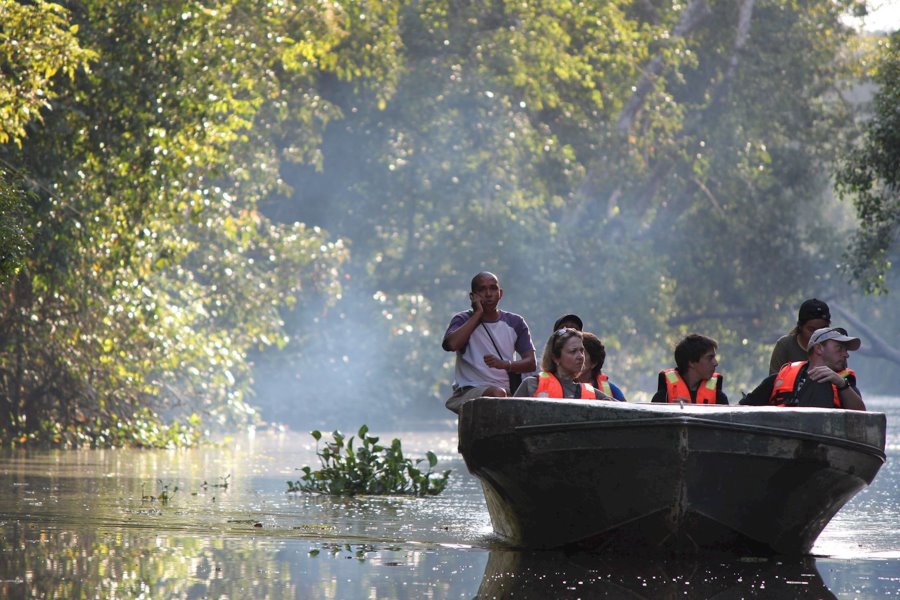 boat trip on the kinabatangan river malaysian borneo